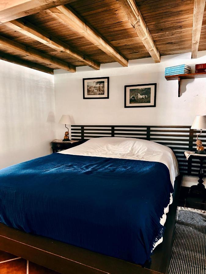 Вилла Casa Girassol With A Beautiful Private Pool And Garden Синтра Экстерьер фото